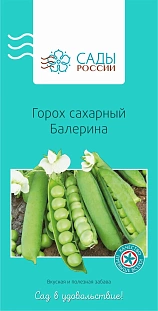 Горох Балерина Горох Балерина