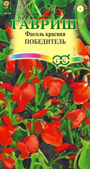 Семена Фасоль декоративная Победитель.
Однолетнее вьющееся растение длиной до 5 м. Стебли тонкие, гладкие, густо облиственные. Листья сложные, тройчатые, с крупными, заостренными, овальными листочками темно-зеленого цвета. Цветки ярко-красные на длинных цветоносах, собраны в пазушные кисти. Цветет обильно в июне-сентябре. Плод — крупный, шероховатый боб, довольно декоративен. Размножают семенами, которые перед посевом необходимо замачивать в течение 24 часов; высевают непосредственно в грунт в конце мая через 15-20 см. Всходы появляются на 15-17 день. Используют для вертикального озеленения - декорирования стен, заборов, террас, столбов, балконов, трельяжей, пергол и для посадки на газоне в виде колонн, пирамид.