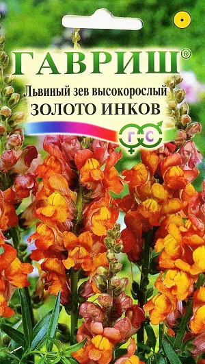 Семена Львиный зев Золото Инков.
Великолепный крупноцветковый срезочный сорт.Декоративное растение из семейства Норичниковые, культивируемое как однолетник, высотой 70-90 см. Цветет с конца июня до поздних заморозков. Цветки собраны в кистевидные соцветия золотисто-оранжевой окраски. Холодостоек, светолюбив, к почвам нетребователен, в засушливый период нуждается в поливе. Выращивают рассадным способом. Посев проводят с начала марта до середины апреля. Всходы появляются через 8-12 дней. Рассаду высаживают во второй половине мая с расстоянием между растениями 35-40 см. Используется для групповых посадок и цветников, а также для получения высококачественной срезки (львиный зев стоит в воде до двух недель).