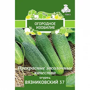 Семена Огурец Вязниковский 37