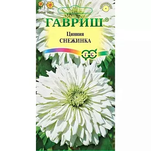 Семена Цинния Снежинка Семена Цинния Снежинка