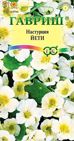 Семена Настурция Йети.
Однолетнее травянистое растение семейства Настурциевые с плетистыми побегами длиной до 2 м, с крупными округлыми листьями. Цветет обильно с июня до заморозков. Цветки бело-кремовой окраски до 5-6 см в диаметре. Теплолюбива и светолюбива. Предпочитает умеренно плодородные, влажные почвы. Выращивают рассадным способом или прямым посевом в открытый грунт. Для получения рассады семена высевают в апреле в горшки (по 2-3 в лунку). Всходы появляются через 10-14 дней. В открытый грунт растения высаживают, не нарушая земляной ком в конце мая-начале июня на расстоянии 40-45 см. Посев в открытый грунт проводят в мае предварительно замоченными (в течение суток) семенами по 3-4 шт. в лунку. При благоприятных условиях настурция завязывает много семян, которые, осыпаясь, способны перезимовать в почве. Используется для вертикального озеленения, как почвопокровное и как ампельное растение.