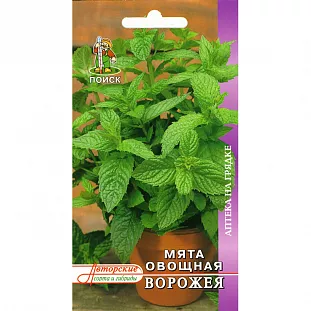 Семена Мята овощная Ворожея