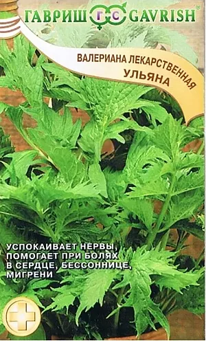 Валериана Ульяна