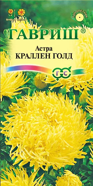 Семена Астра Краллен Голд.
Растение колоновидной формы, с прочными цветоносами высотой до 100 см. 
Соцветия крупные, пионовидные, разной окраски, диаметром 10-12 см. 
Для выращивания подходят хорошо освещенные участки с плодородной суглинистой или супесчаной почвой.
Астры обладают высокой холодостойкостью – хорошо переносят заморозки до -3-4°C. 
Выращивают, чаще всего, рассадным способом. Семена высевают в марте-апреле, пикируют с развитием первой пары настоящих листочков по схеме 5х5 см, в открытый грунт рассаду высаживают с середины мая до начала июня. 
Возможен посев семян в открытый грунт ранней весной или под зиму с последующим мульчированием торфом или опилками.
Используются для получения высококачественной срезки и оформления участка.