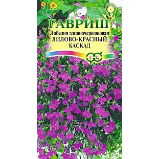 Семена Лобелия ампельная Лилово-красный каскад Семена Лобелия ампельная Лилово-красный каскад