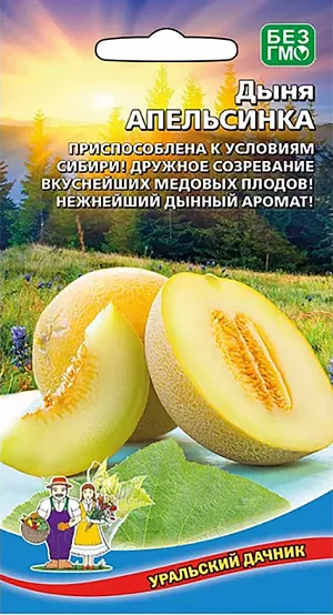 Семена Дыня Апельсинка Семена Дыня Апельсинка