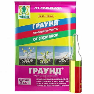 Яблоня Горнист