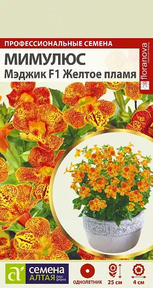 Мимулюс Мэджик Желтое пламя из каталога Разные Семена Мимулюс Мэджик Желтое пламя<br>
<br>
Привлекательное быстрорастущее растение. Выращивают как в открытом грунте, так и в качестве горшечной культуры. Формирует компактный куст высотой и шириной 20-25 см, стебли прямостоячие, ветвистые. Листья яйцевидные, по краю зазубренные. Крупные, до 4 см диаметром, желтые цветки покрыты красными и темно-коричневыми пятнышками и полосками, что придает растению задорный вид. Серию Мэджик отличает короткий период выращивания (всего 7 недель от посева до начала бутонизации), пышное обильное цветение, а также способность растений выдерживать небольшие заморозки до -4оС. Тепло- и влаголюбивое растение, не выносит палящих солнечных лучей. Предпочитает полутенистые, защищенные от ветров участки на слабокислых рыхлых суглинистых почвах с повышенной влажностью. Посевы на рассаду проводят в конце марта – начале апреля. <br>