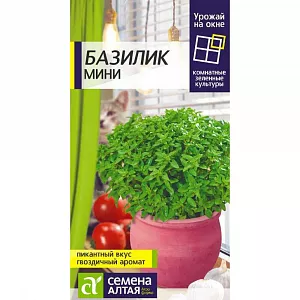 Семена Базилик Мини