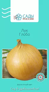 Лук репчатый Глобо