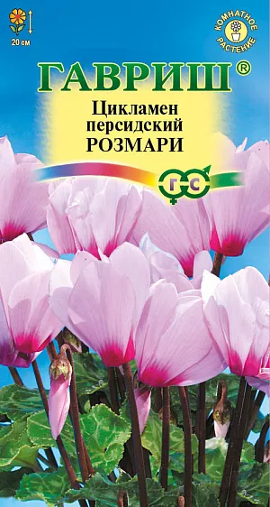 Семена Цикламен Розмари персидский из каталога Цикламен Семена Цикламен Розмари.<br>
<br>
Многолетнее клубневое растение семейства Первоцветные. Цветки нежно-розовые с глазком очень ароматные, цветонос достигает длины 15-20 см. Цветет с поздней осени до конца апреля, летом находится в состоянии покоя. Оптимальный срок посева — конец августа. Семена цикламена туговсхожие, появления всходов приходится ждать от 1 до 3-х месяцев. Наилучший результат предпосевной обработки семян дает контрастная термическая обработка: семена помещают на 2 сек. в горячую (+90…95 С) воду, затем на 2 сек. в холодную, операцию повторяют дважды. Посев производят в горшки с листовой и торфяной землей (1:1). Сверху семена присыпают слоем земли 0,5-1 см., обильно поливают, накрывают темной пленкой. При t ≈ +20ºC всходы появляются через 30-40 дней. После появления всходов притенение снимают, температуру снижают до +15…17ºС. Когда образуются маленькие клубеньки с двумя листочками, пикируют в ящики со смесью из листовой, торфяной земли и песка (2:1:0,5). При пересадках у молодых растений верх клубенька должен находиться у самой поверхности почвы (не глубже 0,5 см.). У взрослых растений верх клубня обычно открыт. В период покоя сбрасывает листья. <br>
<br>
Выращивают на северных и восточных окнах, на южном притеняют от прямых солнечных лучей. Зимой содержат на светлом месте при температуре не выше +8 С. Летом необходимо выполнять приемы по поддержке роста растений: поливать исключительно через поддон, опрыскивать водой комнатной температуры, удобрять. Удобряют не более 2-3 раз за лето, преимущественно азотно-калийными удобрениями.<br>