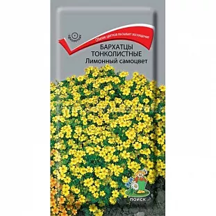 Бархатцы Лимонный самоцвет (Тагетес) тонколистные