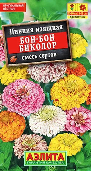 Семена Цинния Бон-бон биколор из каталога Цинния Семена Цинния Бон-бон биколор. Необычная смесь цинний с крупными соцветиями эффектной пестрой расцветки. Основной фон лепестков украшен живописными «брызгами». Кусты крепкие, ветвистые, высотой 60-80 см. Соцветия диаметром 9-12 см, полушаровидные, плотные. Густомахровые корзинки сохраняют декоративность в течение месяца. Смесь рекомендуется для одиночных и групповых посадок на клумбах и рабатках. Отлично подходит для срезки – цветы стоят в воде до двух недель.<br>
<br>
Циннии – растения теплолюбивые, быстрорастущие, относительно засухоустойчивые. Предпочитают солнечные участки с дренированными почвами среднего плодородия, нейтральной кислотности. В южных регионах возможен без рассадный способ выращивания.<br>