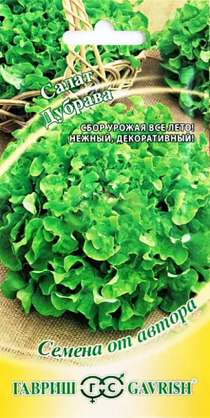 Семена Салат Дубрава Семена Салат Дубрава