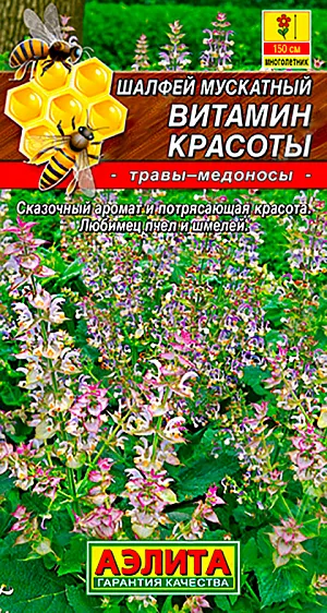 Шалфей мускатный Витамин красоты Шалфей мускатный Витамин красоты