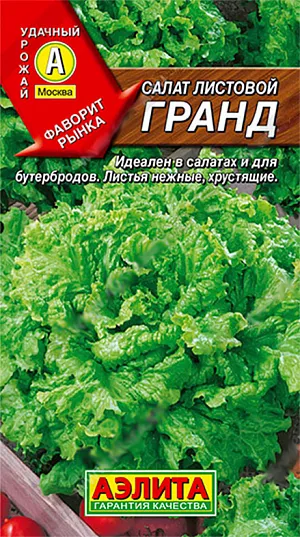 Салат Гранд листовой Салат Гранд листовой