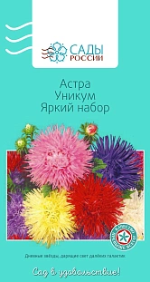 Астра Игольчатая Уникум Яркий набор