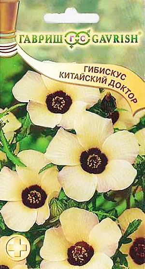 Семена Гибискус Китайский доктор.
Гибискус тройчатый - однолетнее травянистое растение, с прочным ветвистым стеблем (до 70 см) и оригинальными тройчатолопастными листьями из семейства Мальвовые.
В Центральной полосе России выращивают через рассаду (посев в марте) в открытом грунте.
Предпочитает солнечные места с рыхлой, влажной почвой. Цветет в июле-сентябре, желто-кремовыми цветками с пурпурным центром, диаметром до 4 см. После опадания венчика, на цветоножке формируется плод — многосемянная коробочка, с сердцевидными темными семенами. Гибискус тройчатый обладает антибиотическими свойствами в отношении золотистого стафилококка. Листья, корни, цветки и семена широко используются в китайской медицине. Отвар корней и листьев применяют как мягчительное и отхаркивающее. Отвар листьев обладает потогонным и мочегонным свойствами. Настой цветков используют при зуде и кожных дерматитах.
Растение очень декоративно и прекрасно подойдет для оформления клумб, рабаток и садовых ограждений.