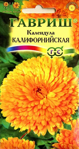 Семена Календула Калифорнийская.
Популярное неприхотливое растение из семейства Астровых. Цветет с июня по сентябрь. 
Цветение обильное и продолжительное, особенно при удалении отцветших соцветий. 
Соцветия крупные, диаметром 8-9 см, густомахровые, черепитчатые. Календула светолюбива и предпочитает легкие почвы, холодостойка - выдерживает до -5°C. Размножают прямым посевом в грунт. Семена высевают весной или под зиму, всходы появляются через 7-10 дней, их через некоторое время прореживают на расстоянии 20 см. 
Зацветает через 50-60 дней после посева. Используется для оформления участка и получения срезки.