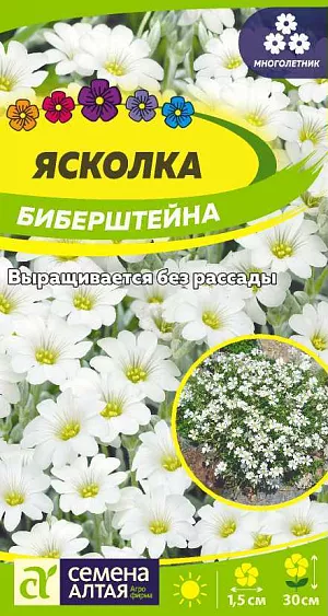 Ясколка Биберштейна

Многолетник, образующий стелющиеся побеги. Цветоносы до 20 см высотой. Цветки белые с желтоватой сердцевиной, 1,5 см в диаметре, собраны в соцветия. Используется главным образом для создания рокариев, каменистых и альпийских горок, на откосах, хорошо сочетается с другими растениями. Светолюбивое, зимостойкое, засухоустойчивое растение. Посев в марте в теплицы, непосредственно в открытый грунт пересаживают в апреле или поздно осенью. Всходы появляются через 10-15 дней. В июле высаживают на постоянное место. Зацветают на второй год. Цветет в мае-июне в течение 25-30 дней. Не требует особого ухода.