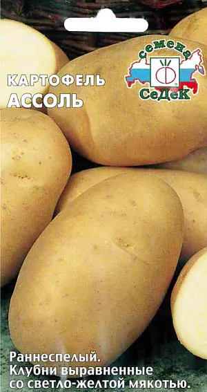 Семена Картофель Ассоль