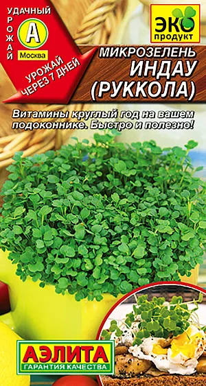 Микрозелень Руккола Микрозелень Руккола