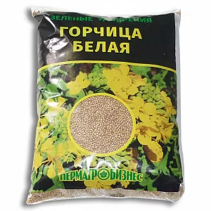 Горчица (сидераты)
