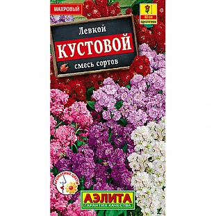 Левкой Кустовой, смесь сортов