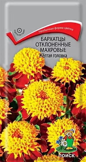 Семена Бархатцы отклоненные махровые Жёлтая головка. Однолетние растения, с крупными желто-красными цветами. Растут в дикой природе в странах Южной Америки. Высота: 20-25 см. Могут использоваться в качестве бордюров, для создания композиционных картин. Длительное цветение, с середины лета до первых морозов, и объясняет повышенный спрос. Они неприхотливы, не нуждаются в дополнительной подкормке, легко переносят моменты засухи. Многие городские парки, скверы и площади массово усеяны ярко-оранжевыми полянами.