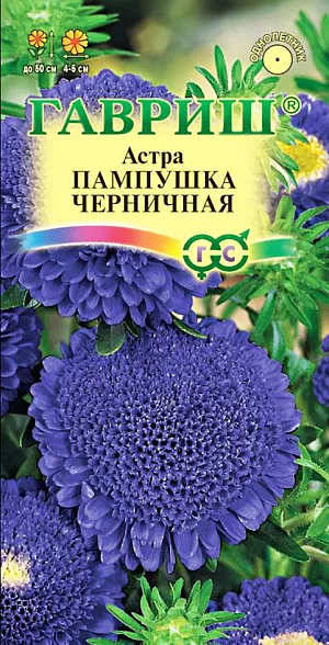 Семена Астра Пампушка Черничная.
Растение высотой 50 см. Соцветия полусферические, темно-синей окраски, диаметром 4-5 см. 
Для выращивания подходят хорошо освещенные участки с плодородной суглинистой или супесчаной почвой. 
Астры обладают высокой холодостойкостью – хорошо переносят заморозки до -3-4 С. Выращивают, чаще всего, рассадным способом. 
Семена высевают в марте-апреле, пикируют с развитием первой пары настоящих листочков по схеме 5х5 см, в открытый грунт рассаду высаживают с середины мая до начала июня. Возможен подзимний посев астр: в конце октября на глубину 5-8 см. Сверху посевы мульчируют торфом или опилками на высоту 3-5 см. Весной (в конце марта-начале апреля) посевы раскрывают. Появившиеся в конце апреля всходы будут закаленными, а выросшие растения сильными, устойчивыми к заморозкам и обильно цвести.
Используются для получения срезки и оформления участка.