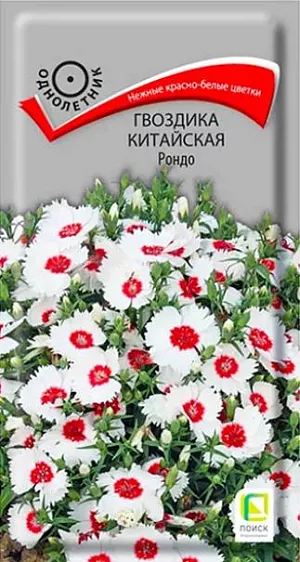 Семена Гвоздика Китайская Рондо. Растение с тонкими, узловатыми стеблями, высотой 20-25 см. Цветки собраны в небольшие соцветия-щитки. Края лепестков звездчато-рассеченные. Окраска - белая с красным центром. Цветение обильное, продолжительное. Используют для оформления цветников, бордюров, балконов и на клумбах.<br>
 <br>
 Агротехника. Неприхотливое холодостойкое растение, предпочитает солнечное местоположение, легкие плодородные почвы, обильный полив без застоя воды. Хорошо отзывается на подкормки минеральными и органическими удобрениями. Посев производят в конце марта – начале апреля в рассадные ящики, семена слегка присыпают легкой землей. При температуре +18-20°C время от посева до всходов 7-14 дней. Высаживают рассаду в открытый грунт, когда минует угроза заморозков, выдерживая расстояние между растениями 15 см