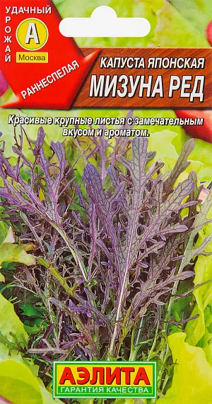 Капуста Мизуна: фото, описание