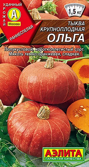 Семена Тыква крупноплодная Ольга Семена Тыква крупноплодная Ольга