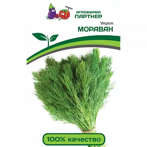 Семена Укроп Мораван