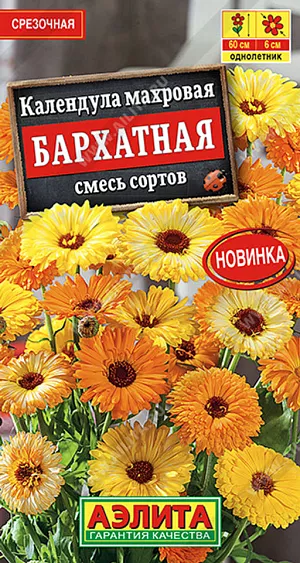 Семена Календула махровая Бархатная, смесь окрасок

Высокорослая смесь календулы с махровыми соцветиями. Растения ветвистые, высотой 50-60 см, обильно цветут с июня до окончания сезона. Цветки достаточно крупные, ? 5-6 см. Большинство соцветий имеют двухцветную окраску (с обратной стороны они темно-красные), что придает им дополнительный объем и выразительность. Эта календула станет украшением клумб, рабаток, больших садовых ваз и прекрасно подходит для срезки.