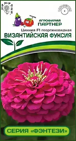 Чрезвычайно выносливая и наиболее раннецветущая серия «ФЭНТЕЗИ» ярких, фантастических окрасок! Основные преимущества: исключительная выравненность по габитусу, прекрасное ветвление (без прищипки) и яркая, не выгорающая на солнце, окраска цветка. Сам цветок 100% махровый, лепестки которого настолько плотно прилегают друг к другу, что не оставляют ни малейшего шанса воде проникнуть внутрь соцветия и повредить его. <br>
 <br>
 Генетически сильные, полные энергии растения, до 60 см в диаметре, закладывают невероятное количество бутонов и продолжительно цветут до заморозков. Это не цветение, это настоящий «артиллерийский салют из всех орудий». Их «жажда» цветения поражает! Отличное здоровье растений позволяет противостоять неблагоприятным погодным условиям и быть высокоустойчивыми к комплексу заболеваний. Размещать такую красоту одно удовольствие: это отличный выбор для контейнеров, партерных цветников, бордюров и рабаток. Чтобы цинния полностью раскрыла свой потенциал, рекомендуем объем кашпо 8-10 л на одно растение и схему посадки в грунте – 35х35 см.<br>
 <br>
 <iframe width="853" height="480" src="https://www.youtube.com/embed/htdTJSYH9Aw?feature=oembed" frameborder="0" allow="accelerometer; autoplay; clipboard-write; encrypted-media; gyroscope; picture-in-picture; web-share" allowfullscreen="" title="Циннии">
</iframe> <br>