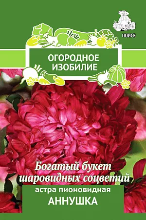 Семена Астра Аннушка пионовидная.
Богатый букет шаровидных соцветий. Растение высотой 60-65 см. 
Соцветия темно-карминно-красные, махровые, диаметром 8-10 см, до 10 штук на растении. 
Используют очень широко: для посадки в сборные цветники группами, на рабатки - рядами и на срезку.
Посев: март
Глубина посева: 0.5 см
Высадка рассады: 25 мая- 5 июня
Время цветения: авг. – сент.
Схема посадки: 25х30 см