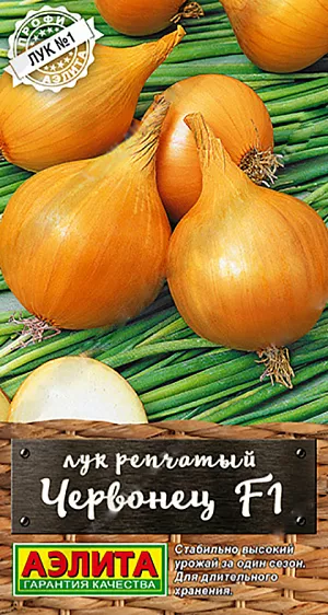 Семена Лук репчатый Червонец Семена Лук репчатый Червонец
