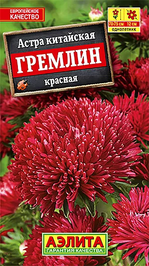 Семена Астра Гремлин красная из каталога Астра Семена Астра Гремлин красная.
<p>
<b>Очаровательная</b> срезочная высокорослая <b>астра с крупными густомахровыми соцветиями</b>. На прочном пирамидальном кусте высотой 60-70 см раскрывается до 15 соцветий Ø 10-12 см на крепких цветоносах. Цветение раннее и продолжительное, с июля до окончания сезона.Растения холодостойкие, предпочитают солнечные участки, не любят застоя воды в почве. Украсят клумбы и рабатки. Отлично подойдут для осенних букетов и композиций. <br>
</p>
<p>
Для более раннего и обильного цветения астру выращивают рассадным способом. Семена высевают в апреле, пикируют с развитием первой пары настоящих листочков, в открытый грунт рассаду высаживают с середины мая. Возможен посев семян в открытый грунт в мае-июне на глубину 1-1,5 см.
</p>