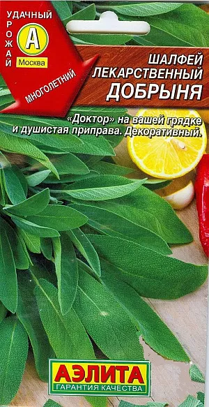 Шалфей лекарственный Добрыня