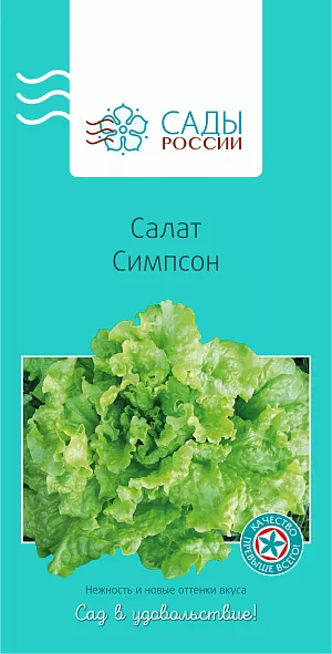 Салат листовой Симпсон