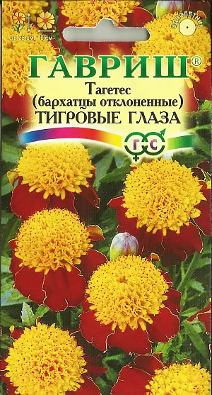 Семена Бархатцы Тигровые глаза отклоненные.
Однолетнее растение семейства Сложноцветные.
Стебли прямостоячие до 25 см. высотой, сильно ветвистые от основания, боковые побеги отклоненные. 
Соцветия-корзинки 6 см. в диаметре, оригинальной формы. Одновременно открывается до 35 соцветий. 
В открытый грунт можно высевать в конце мая - начале июня. Всходы появляются на 5-10 день.
Почву желательно накрыть нетканым материалом (акрил, лутрасил). 
В этом случае сеять можно на неделю-полторы раньше обычных сроков и тем самым ускорить цветение.
На рассаду сеют в начале апреля. Цветение начнется в июне. 
Бархатцы используют во всех видах цветников.
Они хорошо растут в горшках, вазонах, балконных ящиках, в сочетании с примулами и цинерариями. 
Осенью цветущие растения можно перенести в комнату, где они прекрасно растут в течение всей зимы, а весной, высаженные в открытый грунт, образуют большой цветущий куст.