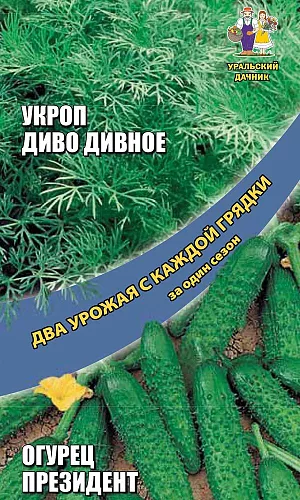 Семена Укроп Диво дивное + Огурец Президент - корнишон