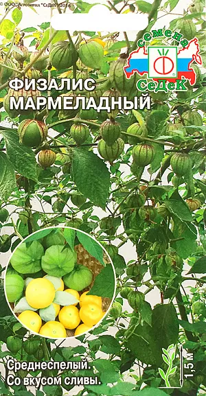Семена Физалис Мармеладный