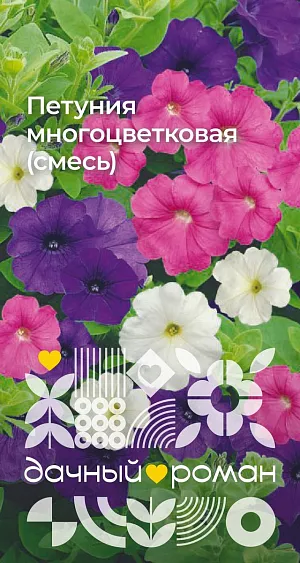 Семена Петуния многоцветковая (смесь) из каталога Петуния Семена Петуния многоцветковая (смесь)
Цветки яркие, 4–8 см в диаметре, многочисленные, образуются не только на концах побегов, но и по всей их длине. Бутоны появляются значительно раньше, чем у других петуний. Форма куста раскидистая, выравненная по высоте. Хорошо переносит сырую дождливую погоду. Простая в выращивании, прекрасно подходит для новичков. Замечательно чувствует себя в небольших контейнерах и кашпо. Рассаду высаживают в грунт после угрозы возвратных заморозков.