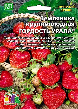 Семена Земляника (клубника) Гордость Урала-крупноплодная Семена Земляника (клубника) Гордость Урала-крупноплодная