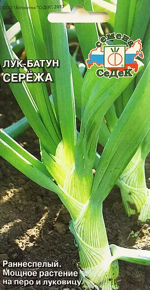 Семена Лук батун Серёжа