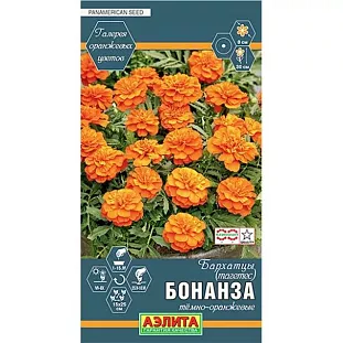 Бархатцы Бонанза темно-оранжевые