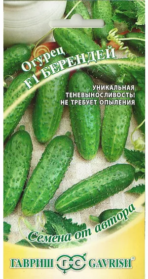 Семена Огурец Берендей F1